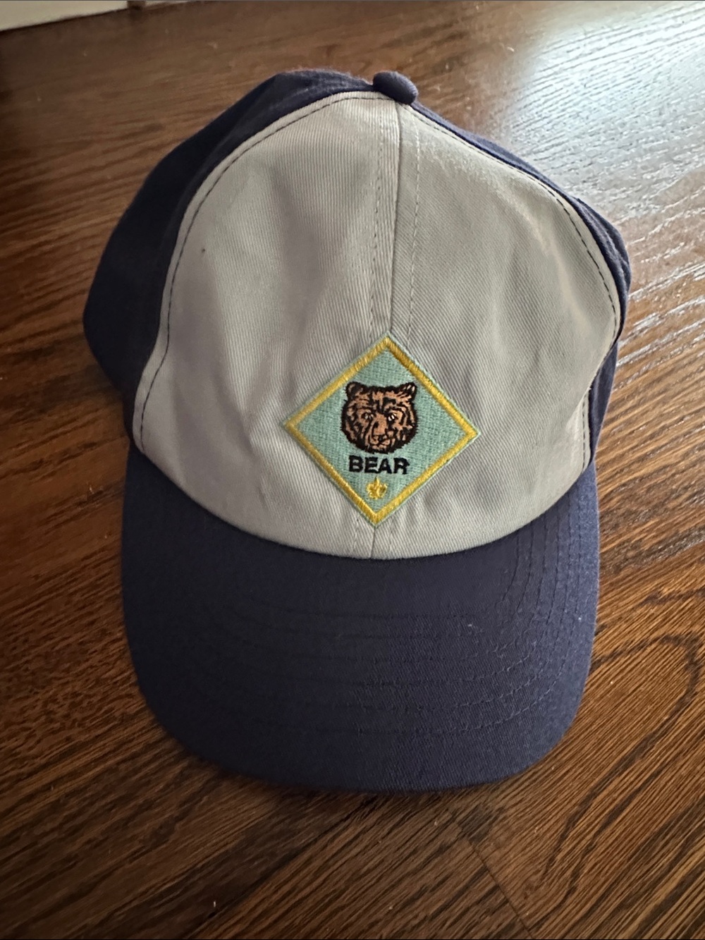 Cub Scout bear hat